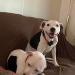Dawn Dun - @kayjarrell77 - Instagram
