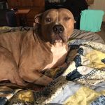 Kay Jay - @kay.jefferson.5 - Instagram