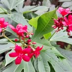 Kay Jefferson - Facebook