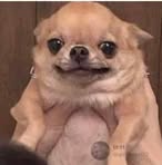 Kay Juárez - Facebook