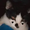kayy_katt - @kayy_katt - TikTok