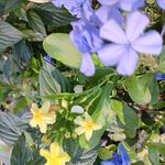 Kay Kehoe Kent - @kathleenkent1 - Instagram