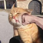 Kay Ken - Facebook