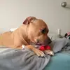 kayken - @kayken - TikTok