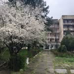 Саноторий Каякент - @tut_sanotorii_kaykent - Instagram