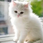 Kay Kidd - @kay.kidd.140 - Instagram