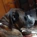 Kay Kimmel - Facebook