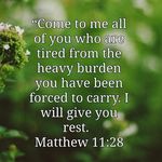 Kay Kinney Millsap - @kaymillsap8 - Instagram
