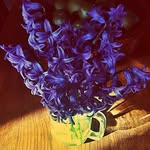 Kay Kirchner - @kay_kirchner - Instagram