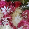 user6071712164720 - @kitekay - TikTok