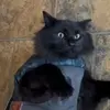 Kayla Knopp - @kayla.knopp - TikTok