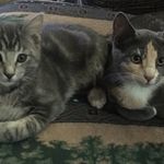 Kay Knott Price - @ok73071 - Instagram