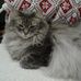 Kay Koch - Facebook