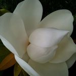 Kay Kollar - @kaykollardesign - Instagram