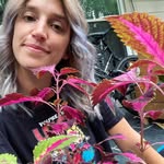 Kay’s Korner - @kayskornergarden - Instagram