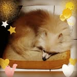 Kay Kuo - @night.cat.kk - Instagram