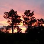 Kay Landman - @kay.landman.3 - Instagram