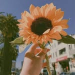 Thuy Linh - @kaylanguyen_1011 - Instagram