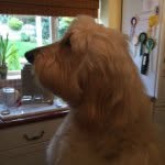 Kay Lawson - @saloodle - Instagram