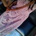 Kay LE - Facebook