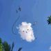 Kay Le - Facebook