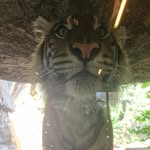 Kay Lehmann - @kay1.lehmann - Instagram