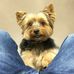 Kay Lehmann - Facebook