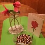 Kay Levy - @kayl4birds - Instagram