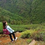 Minikay~郑丽君 - @kaylight - Instagram
