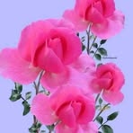Kay Linn - Facebook