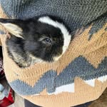 Kay Lumsden - @vlad.balayev.00 - Instagram