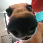 kay - @_kay_macleod_ - Instagram