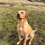 Kay Macleod - @kaymacleod1b - Instagram