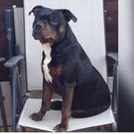 Kay.madden - @kay1244269 - Instagram