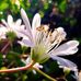 Kay Marlowe - Facebook