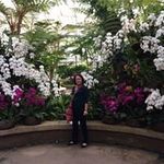 Mary Kay Vargo Masterson - @marykayvargo - Instagram