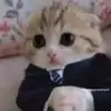 kayley - @kayleymattesonn - TikTok