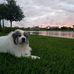Kay Mayo - Facebook