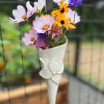 Mary Kay McCarthy Barker - @mkbnama - Instagram
