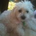 Kay Mcdonnell - Facebook