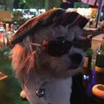 Kay McDonnell - @kay.mcdonnell - Instagram