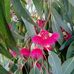 Kay McDonnell - Facebook