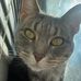 Kay McGovern - Facebook