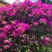 Kay McGregor - Facebook