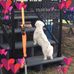 Kay Mcgregor - Facebook