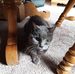 Kay McGregor - Facebook
