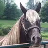 kaymcintosh126 - @kaymcintosh126 - TikTok