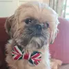kaymcintosh505050 - @kaymcintosh505050 - TikTok