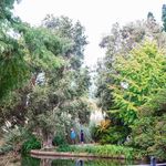 Kay McManus - @focuson_gardens - Instagram
