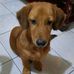 Kay Mcqueen - Facebook